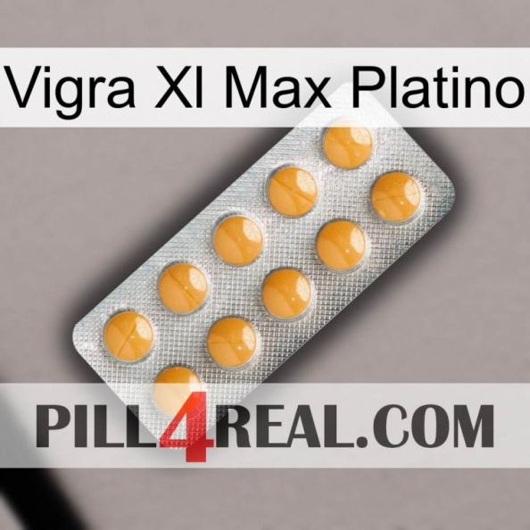 Vigra Xl Max Platinum levitra1.jpg